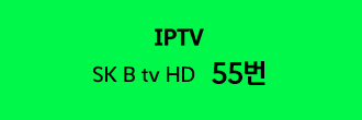 IPTV SK B tv HD 55번
