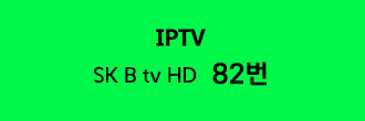 IPTV SK B tv HD 82번